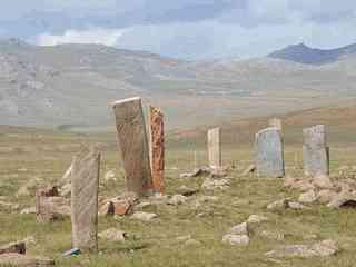 Jelen (sob) kameny, Mongolsko