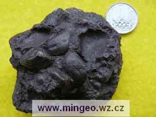 Stromatolity zapinily vznik nkterch loisek
 eleznch rud
